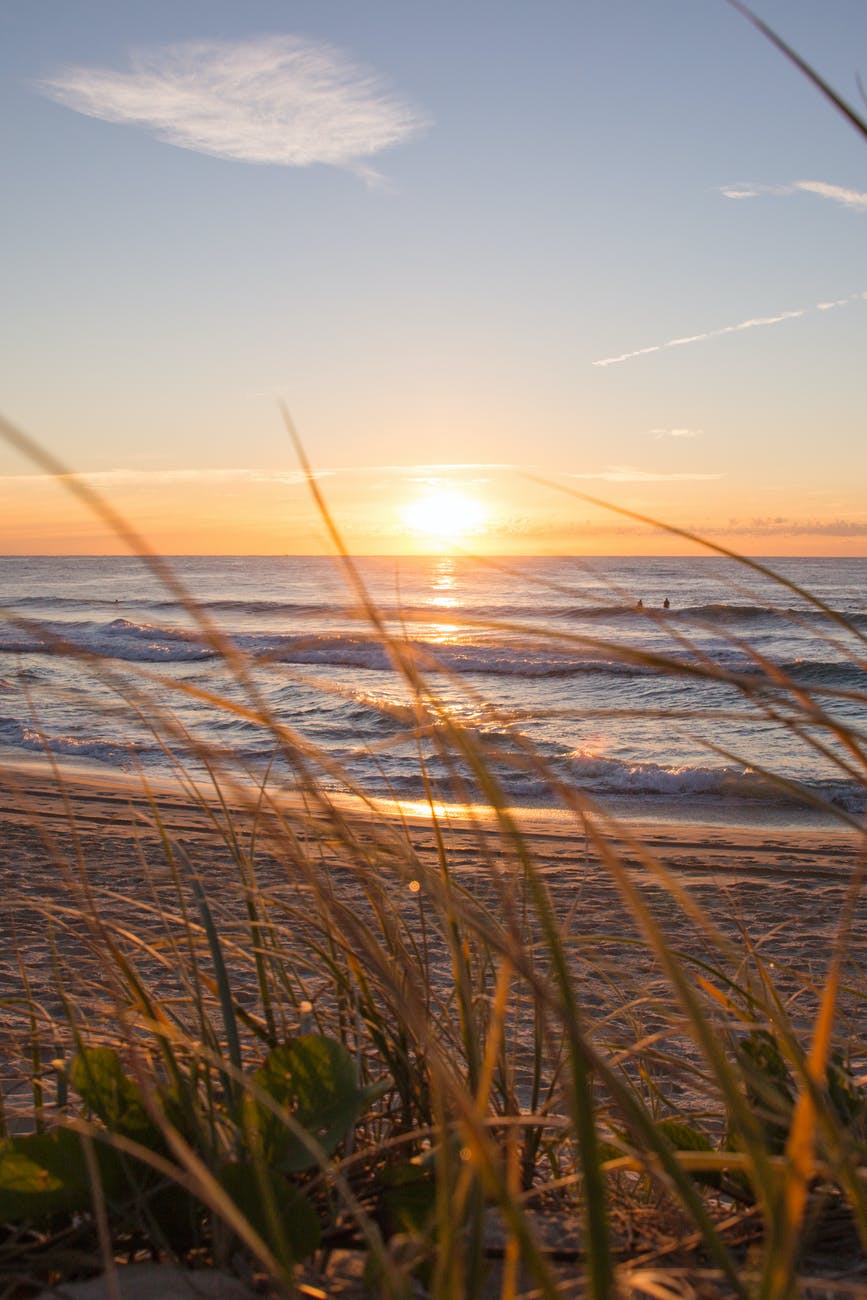 photo of seashore during golden hour