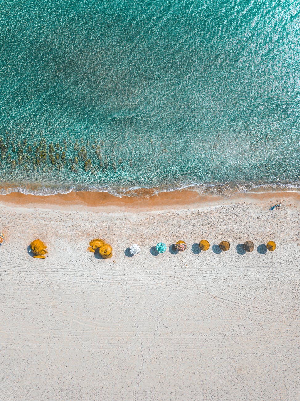 aerial view photography of umbrellas on shore