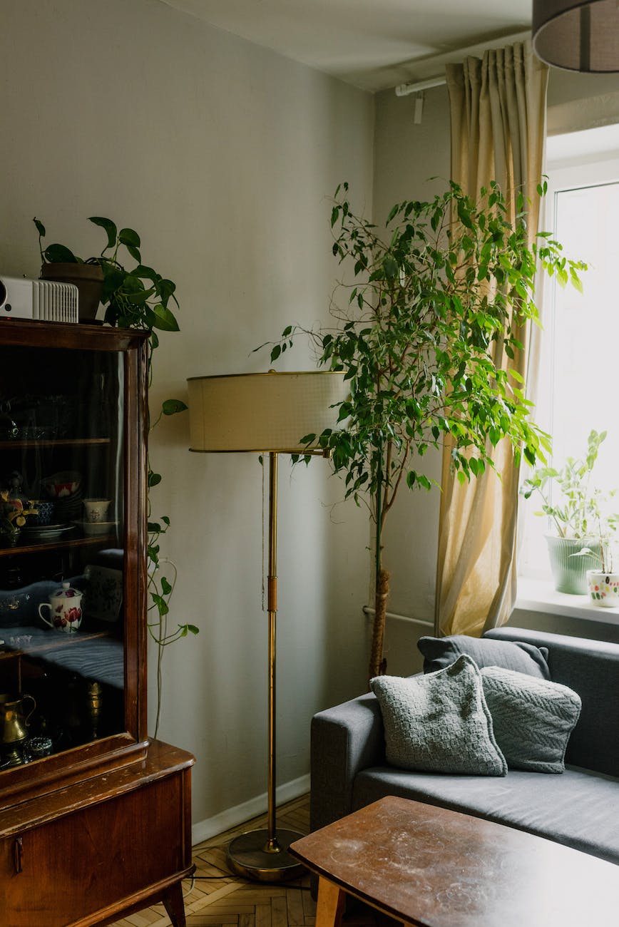 lamp and a potted plant in a living room