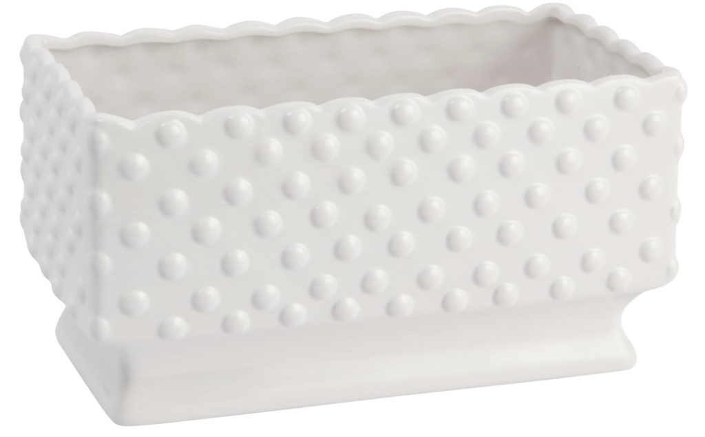 scallop edge plant holder