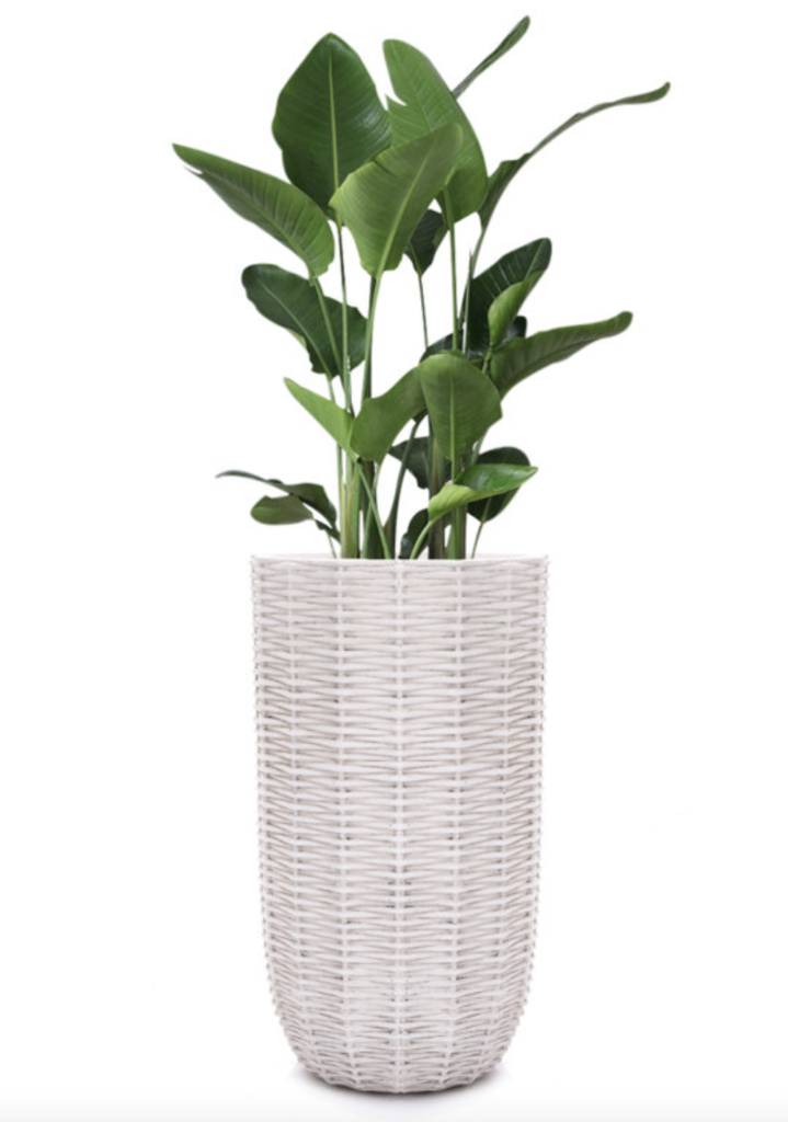 Cherine Handmade Pot Planter - front porch planters