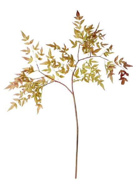 minimalist fall decor